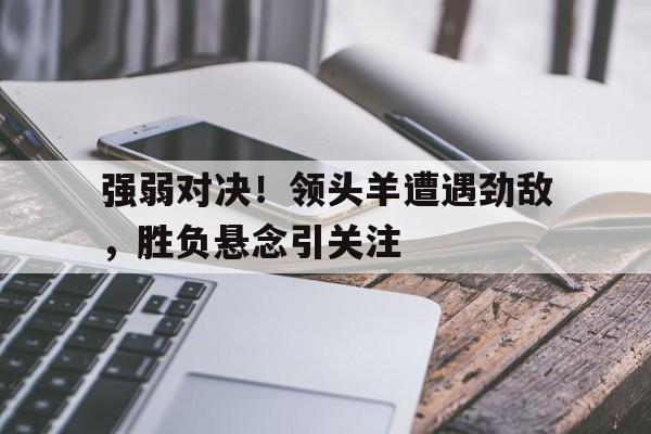 关于强弱对决！领头羊遭遇劲敌，胜负悬念引关注的信息